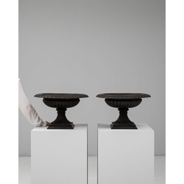 1900s French Cast Iron Tazza Urn Planters - A Pair For Sale - Image 17 of 18