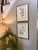 1950s Vintage Botanicals Set of 2- Authentic 1953 Wild Flower Prints For Sale - Image 5 of 6