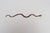 Art Deco Hammered Cast Brass Snake Form Serpentine Sculpture For Sale - Image 4 of 14