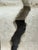 Sculptural Travertine Coffee Table, 1970s For Sale In San Francisco - Image 6 of 12