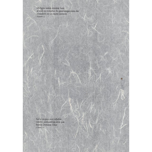 1960s 1967 Salvador Dalí Biblia Sacra Lithograph "Peccatum Originis" (Original Sin) For Sale - Image 5 of 11