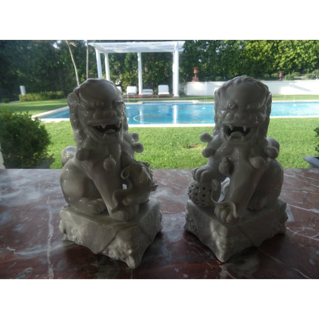 A fine pair of great quality vintage foo dogs in blanc de Chine style.