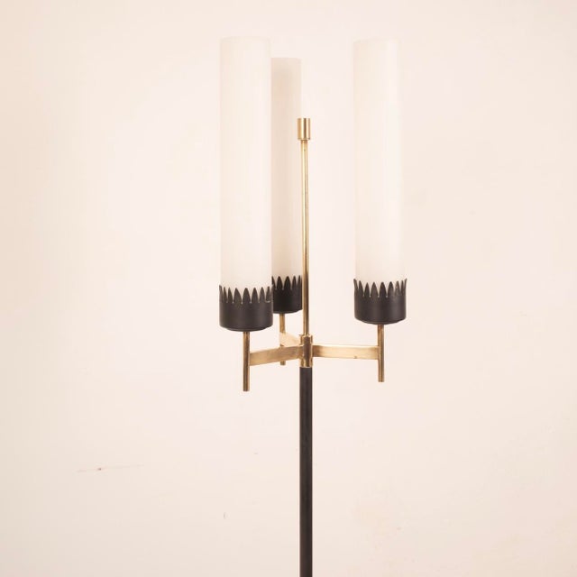 3-Armed Floor Lamp from Stilnovo, 1950s For Sale - Image 3 of 15