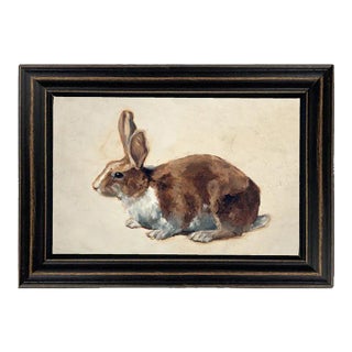 Bunny Rabbit Framed Print in Distressed Black Frame For Sale