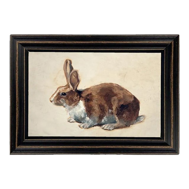 Bunny Rabbit Framed Print in Distressed Black Frame For Sale