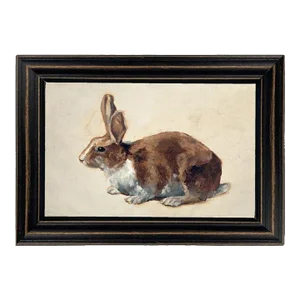 Bunny Rabbit Framed Print in Distressed Black Frame