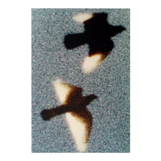 1973 Richard C. Bray Birds in Flight Photograph For Sale