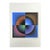 1970s After Victor Vasarely Limited Numbered Edition Lithograph. For Sale
