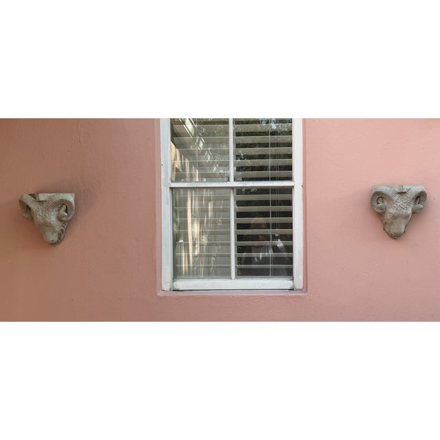 Campaign Vintage Cast Stone Rams Head Wall Brackets For Sale - Image 3 of 11