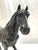 Traditional Antique Ex Du Pont Bronze Horse Sculpture For Sale - Image 3 of 7