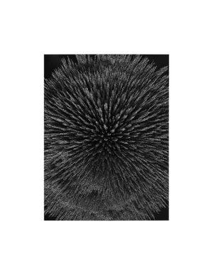 Seb Janiak "Magnetic Radiation 99 (Medium)", Photograph