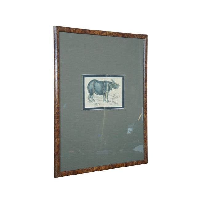 Antique 19th century circa 1842 colored engraving of a Rhinoceros - Plate VII from "A History of the Earth and Animated...