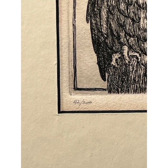 Rare! Circa 1960s Carolyn Millard Limited Edition 42/200 Owl Etching Signed For Sale - Image 4 of 7