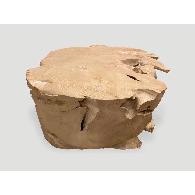 Andrianna Shamaris Organic Bleached Teak Wood Coffee Table or Side Table For Sale - Image 18 of 18