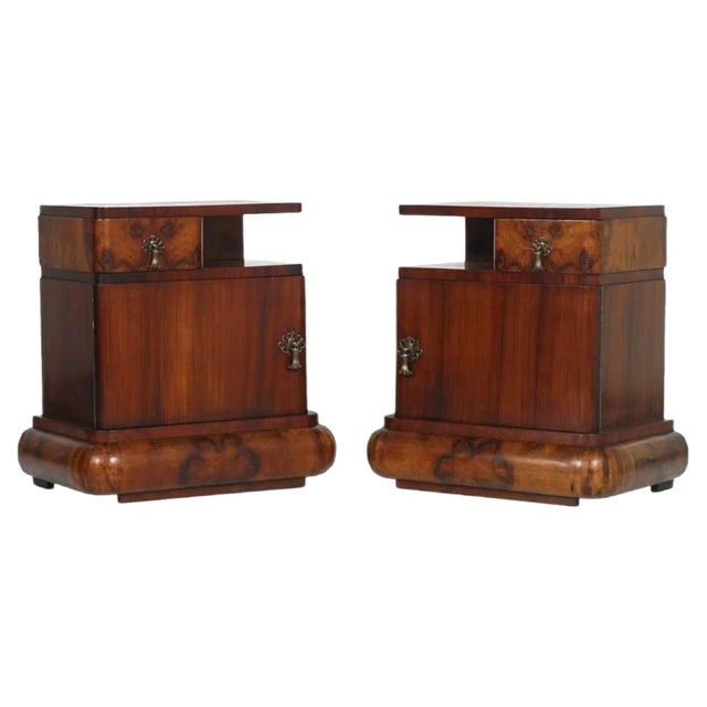 Walnut Burl Nightstands, Set of 2 For Sale