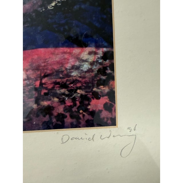 Circa 1996 David Wang White Sun + Pine Frame Artwork For Sale - Image 10 of 12