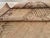 Mid-20th Century Handmade East Turkestan Khotan Gallery Carpet For Sale - Image 10 of 10