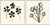 Hable Trefoil and Alfalfa by Susan Hable For Sale - Image 4 of 4