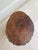 Wood Vintage Brutalist Live-Edge Oak Log Stool with Branch Legs, 1960s For Sale - Image 7 of 9