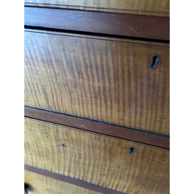Mid-Century Modern Antique Mid-Century, Modern , American Tiger Maple 4 Drawer Dresser, Circa 1840-1860 For Sale - Image 3 of 11