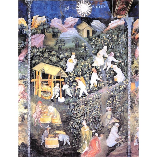 "Venetian Villas the History and Culture" 1956 Muraro, Michelangelo [Text By] For Sale In New York - Image 6 of 12