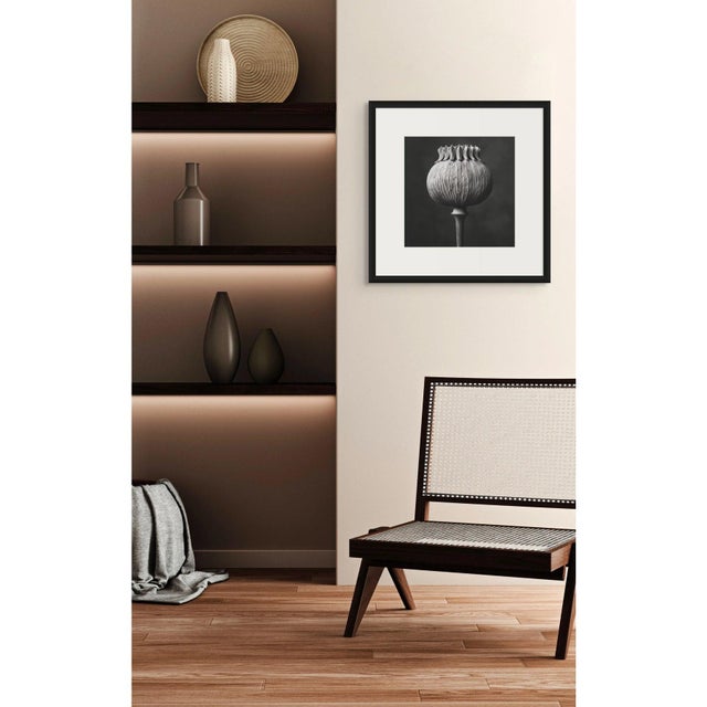 Minimalism Poppy Pod Head No. 4 - Black and White Botanical Floral Photograph Print | Karl Blossfeldt | Unframed For Sale - Image 3 of 5