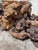 Brown Mid Century Burl Wood Coffee Table For Sale - Image 8 of 8