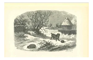 Paul Gervais, The Hedgehog and Dog in Winter of Village, 1854, Lithograph