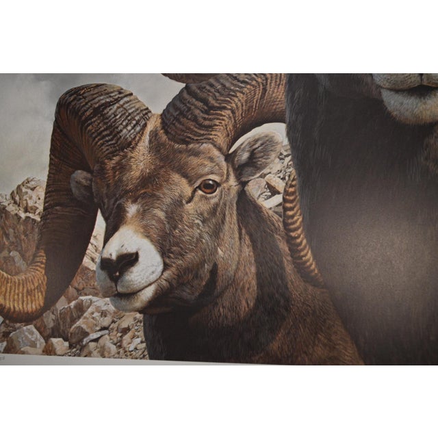 Realism Carl Brenders "Rocky Kingdom - Bighorn Sheep" Signed Limited Edition Lithograph, 1992 For Sale - Image 3 of 10