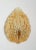 1940s Mid-Century Swedish Wall Lamps attributed to Fritz Kurz for Orrefors, 1940s, Set of 2 For Sale - Image 5 of 7