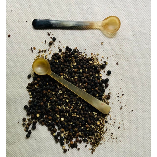 Discovered at a beloved Paris brocante, this exquisite set of handmade horn spice cellars represents the finest in 1960s...