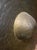 Antique Large 30" Hand-Hammered Bronze Nipple Gong Southeast Asian Temple For Sale - Image 4 of 5