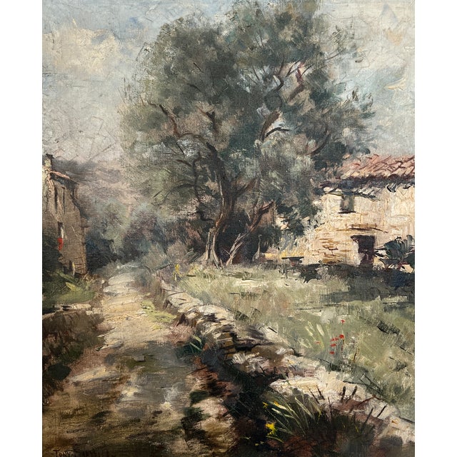 Tony Gardella, Petit sentier Corse et olivier, Oil on Canvas, Framed For Sale - Image 11 of 11