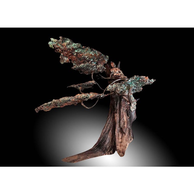Mid 20th Century Mid 20th Century Handmade Copper Bonsai Tree Sculpture For Sale - Image 5 of 7
