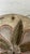19th Century Antique Italian Medallion For Sale - Image 5 of 6