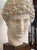 1970s Hermes Head, 1970s, Plaster For Sale - Image 5 of 7