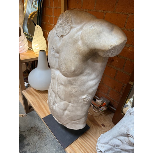 Classical Roman Gaddi's Torso, Plaster Bust, Copy in Scale 1/1 For Sale - Image 3 of 9