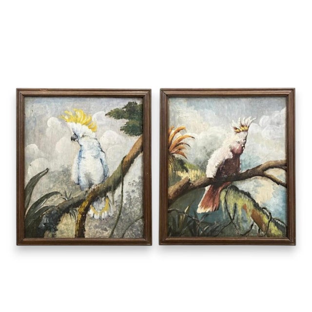 Cockatoos, 1950s, Oil Paintings on Panel, Set of 2 For Sale - Image 9 of 9
