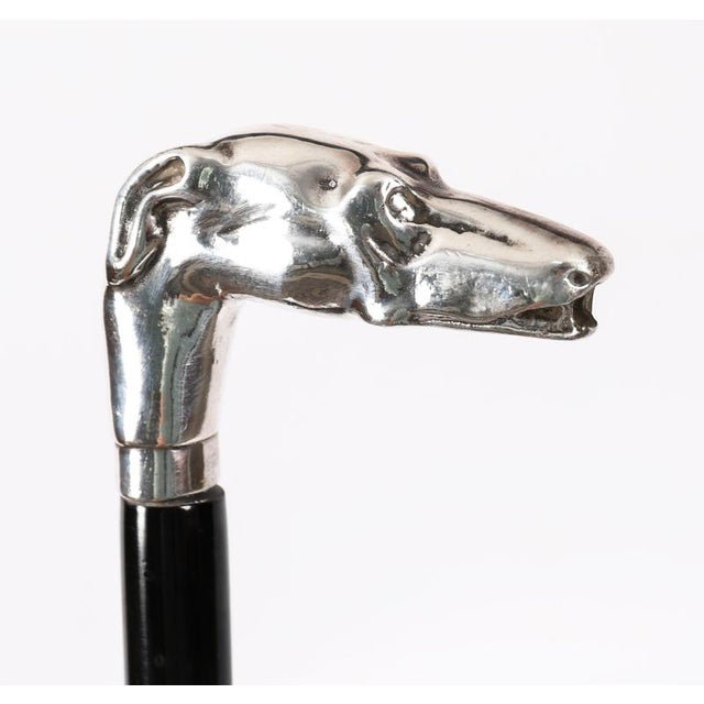 Metal Antique French Silver Greyhound Walking Stick Cane, 1890s For Sale - Image 7 of 8