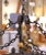 Gray Early 20th Century French Gothic Twelve-Light Iron Chandelier With Gilt Accents For Sale - Image 8 of 11