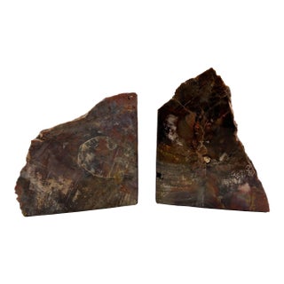 1950s Arizona Petrified Wood Bookends For Sale