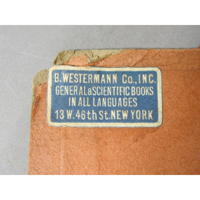 1931 German Cubist Lithograph / Nature For Sale - Image 10 of 11