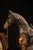 Mid 20th Century Vintage Electric Equestrian Copper Clock by Lanshire For Sale - Image 5 of 6