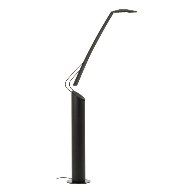 Italian Dove Floor Lamp attributed to Mario Barbaglia & Marco Colombo for Italiana Luce, Italy, 1980s For Sale