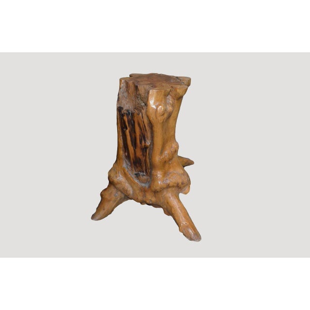 Andrianna Shamaris Organic Teak Root Side Table For Sale - Image 4 of 5