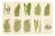 Edward J. Lowe, Ferns, 1856, Lithographs, Set of 10 For Sale