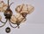 Chandelier in Brass and Marbled Glass by Harald Notini for Böhlmarks, Sweden, 1927 For Sale - Image 12 of 18