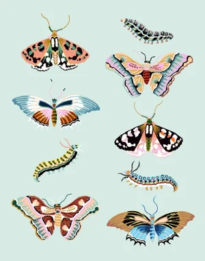 Wondergarden Butterfly Mini Giclee Print by Sarah Gordon
