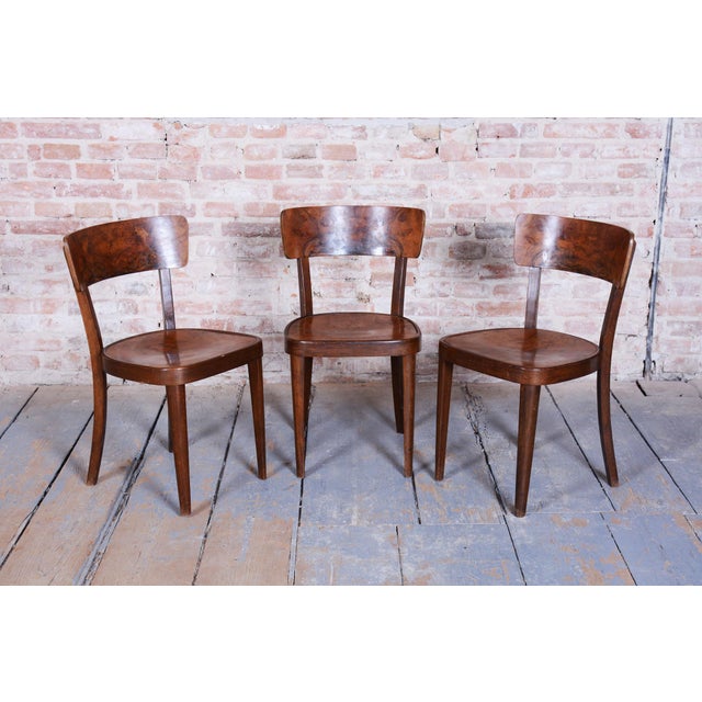 1940s Art Deco Chairs in Beech and Walnut attributed to Thonet, Czech, 1940s, Set of 4 For Sale - Image 5 of 14