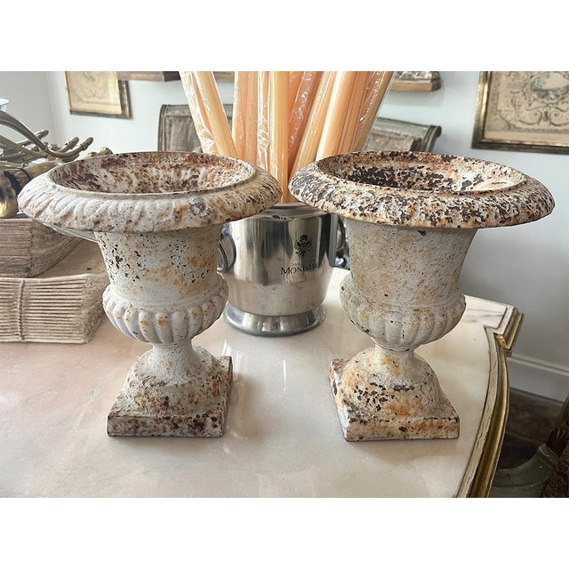 French Pair of Small White Urn Planters For Sale - Image 3 of 3